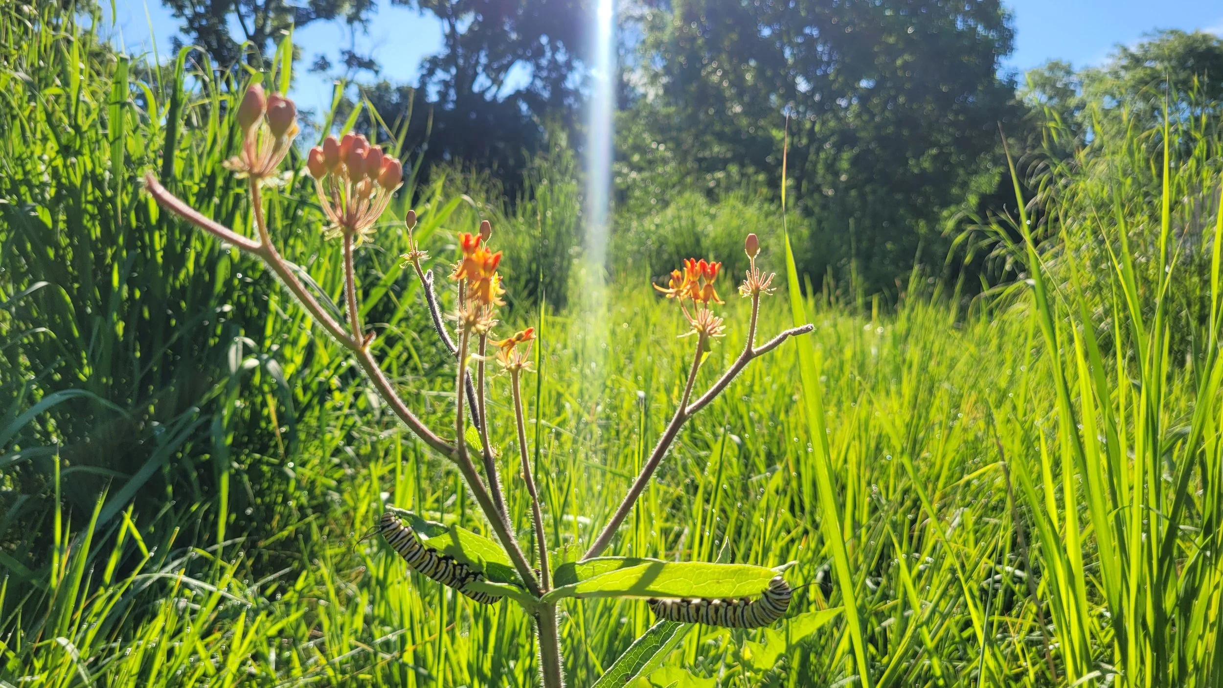 20240628_083037 (1).jpg