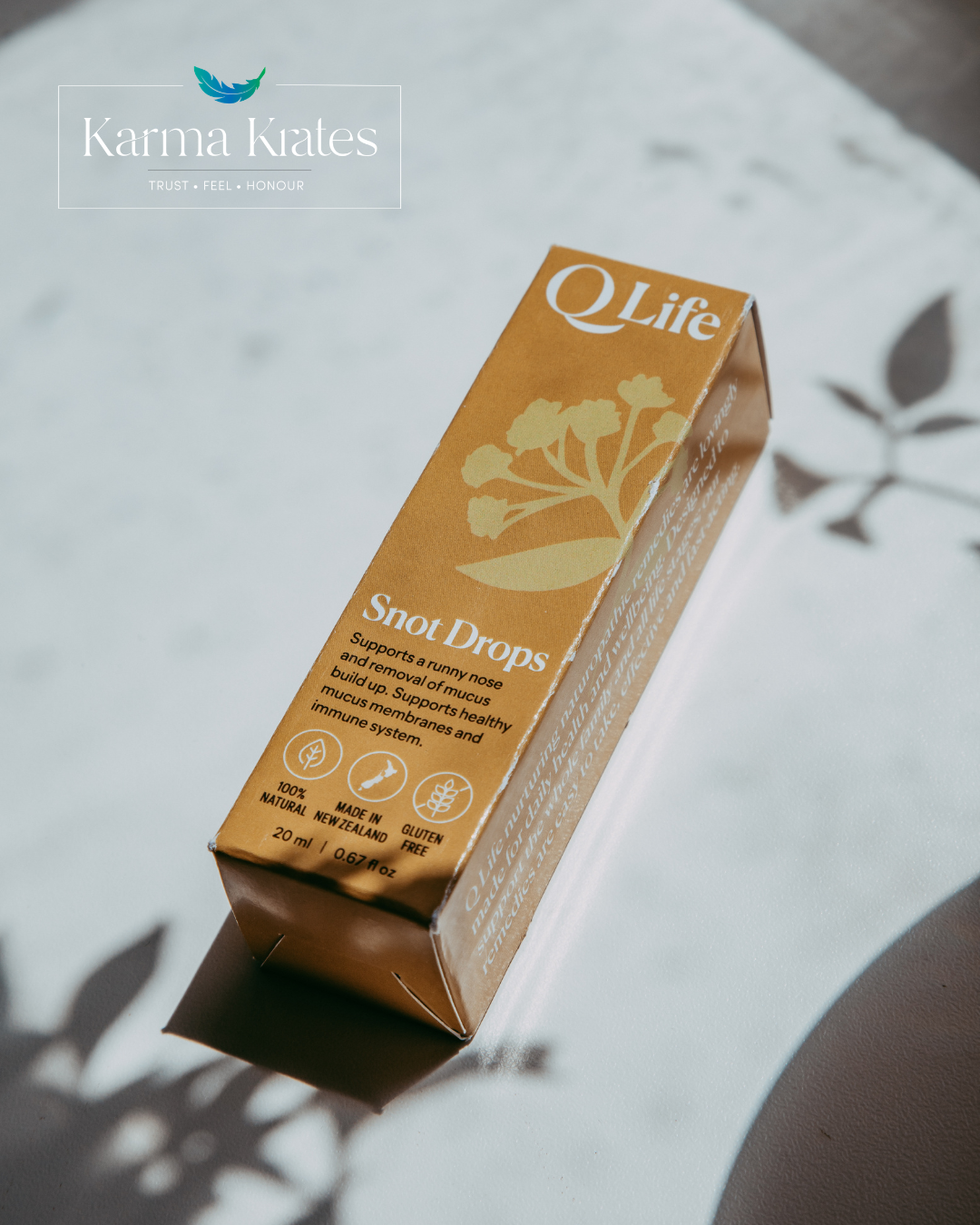 Untitled design (22).png