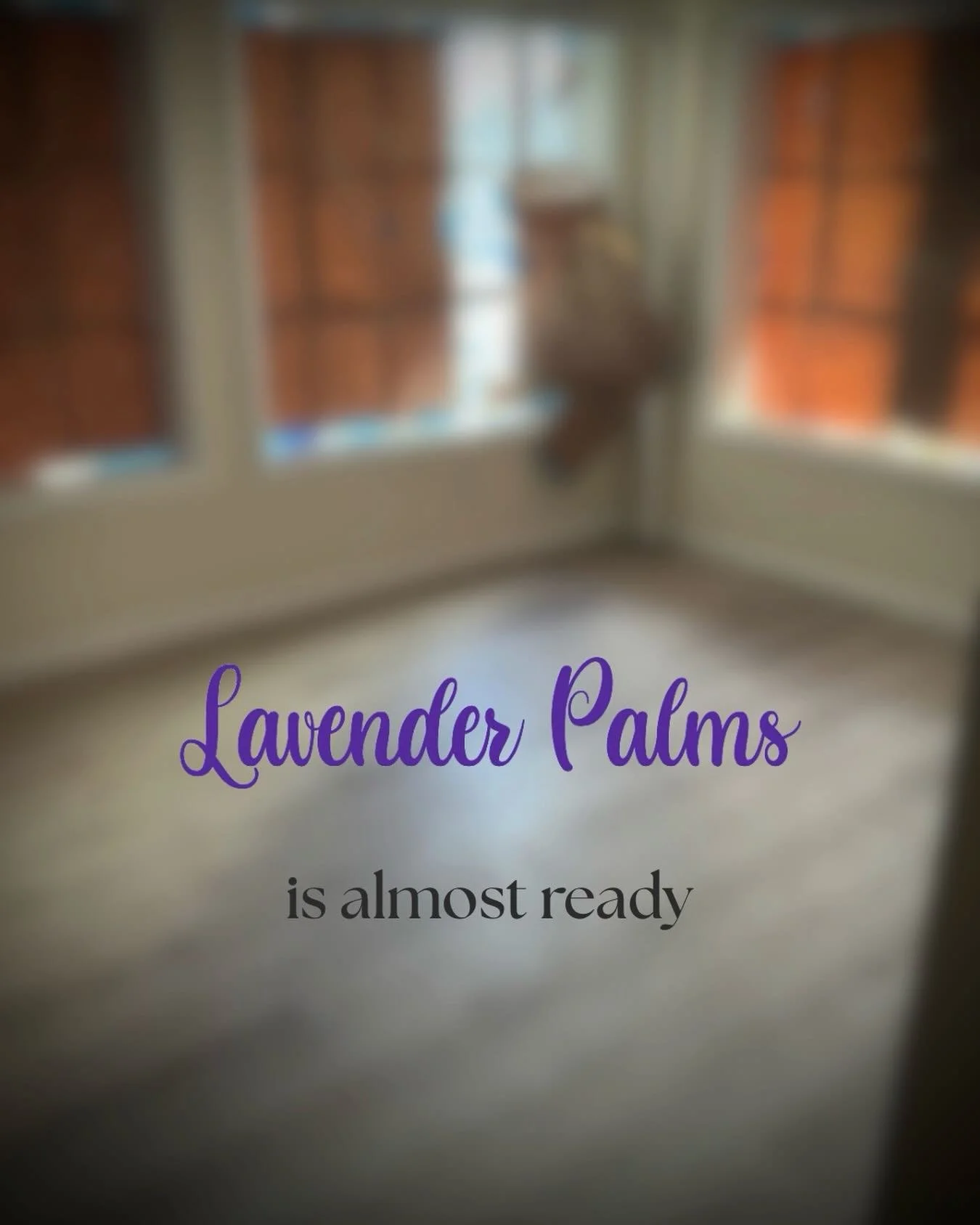 I&rsquo;ve been a little quiet on here because I&rsquo;ve been building something that actually means a lot to me.

Lavender Palms has been coming together slowly and intentionally &hellip; and I&rsquo;m really proud of what it&rsquo;s becoming.

I&r