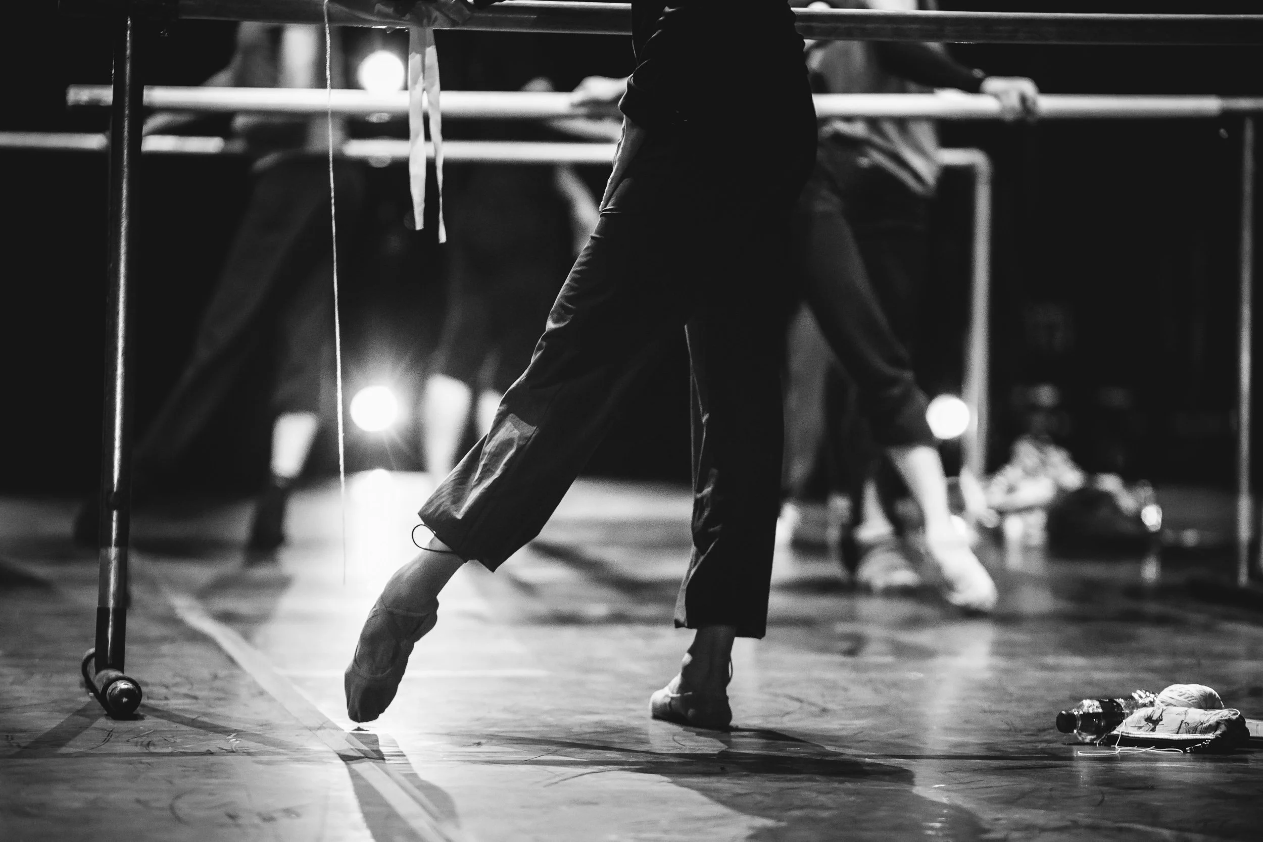 Ensayo León-16_SQ.jpg