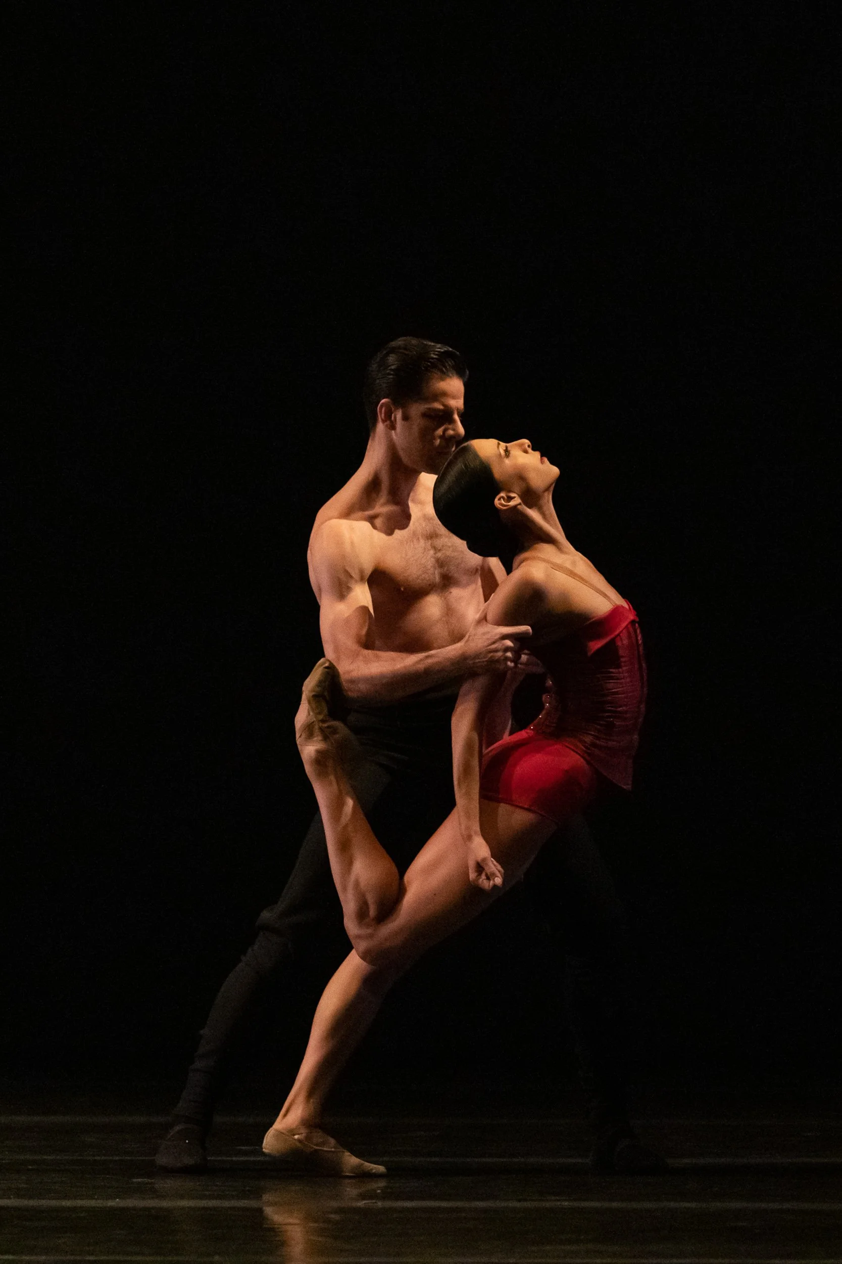 Amorosa PDD-1_SQ.jpg