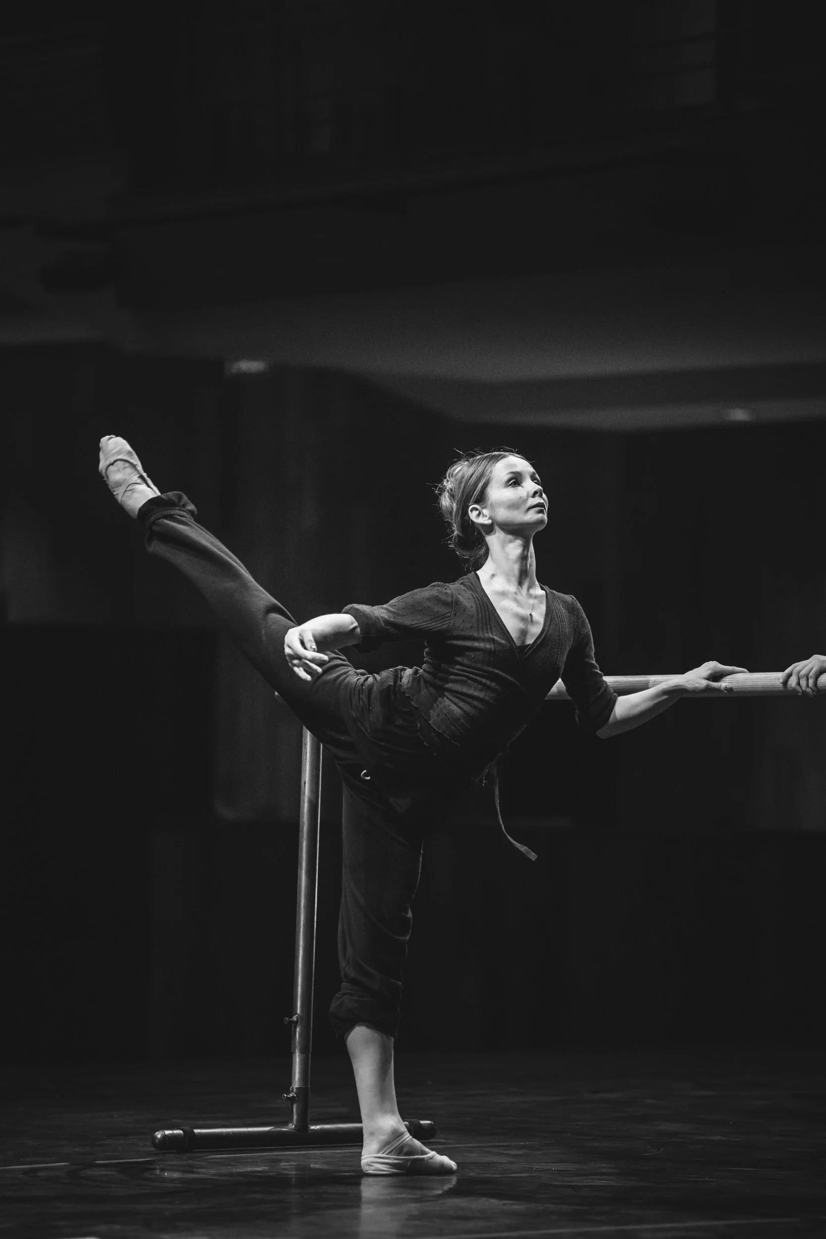 Ensayo León-23_SQ.jpg