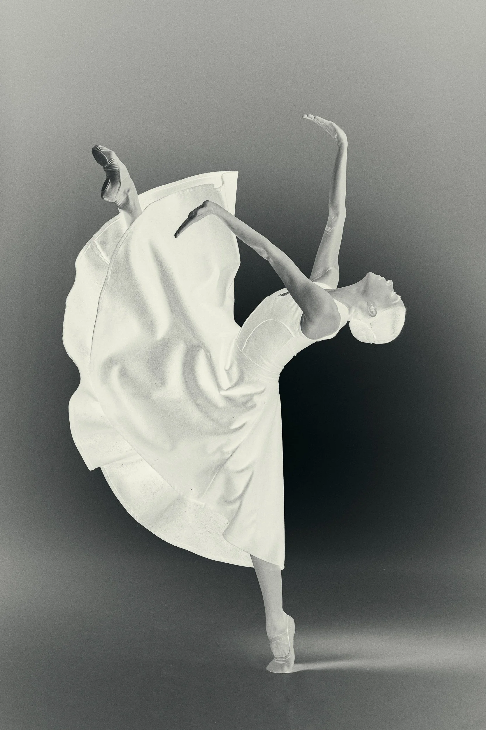 Campaña CND 20260079 3_FULL_SQ.jpg