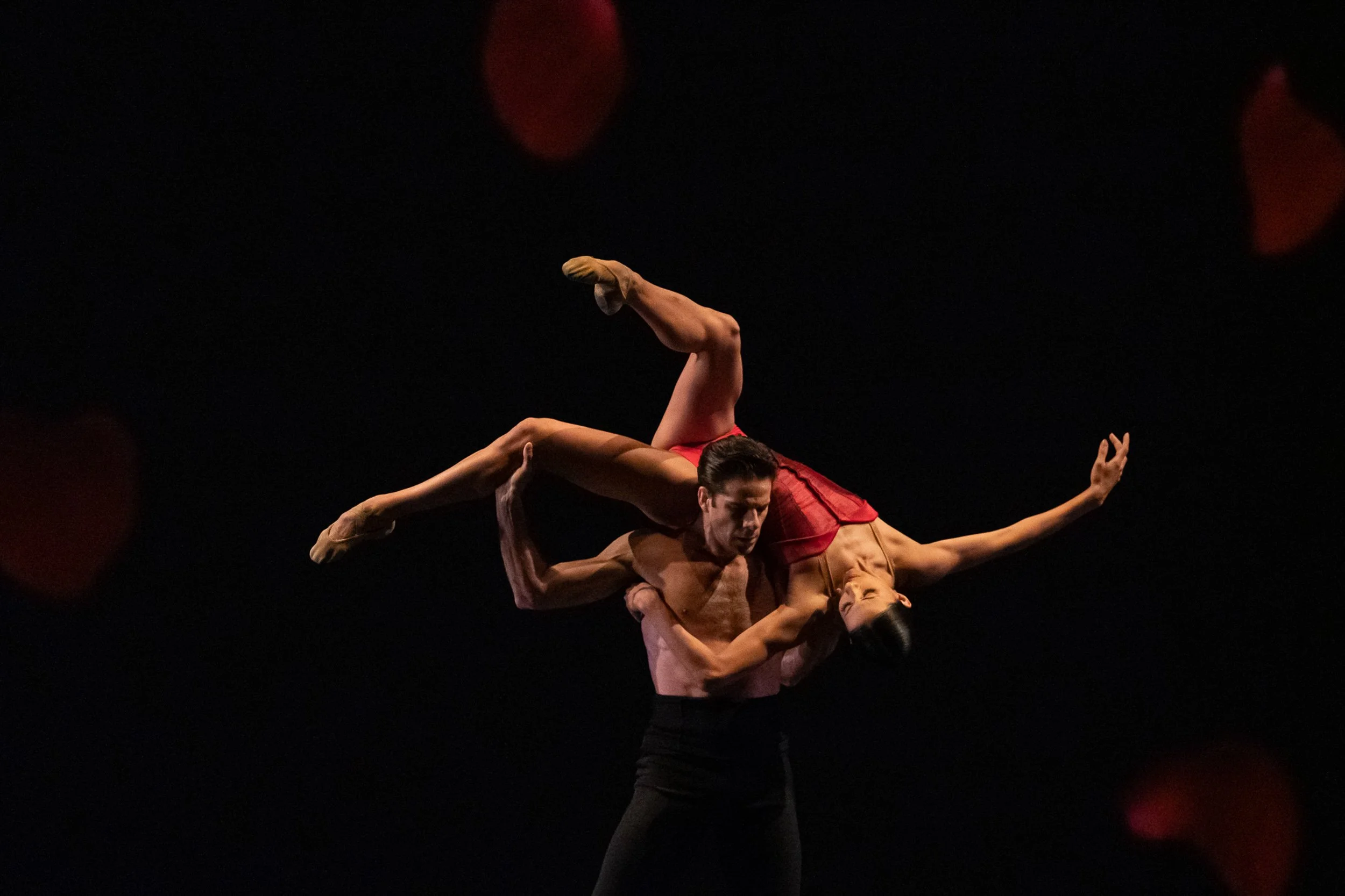 Amorosa PDD-4_SQ.jpg