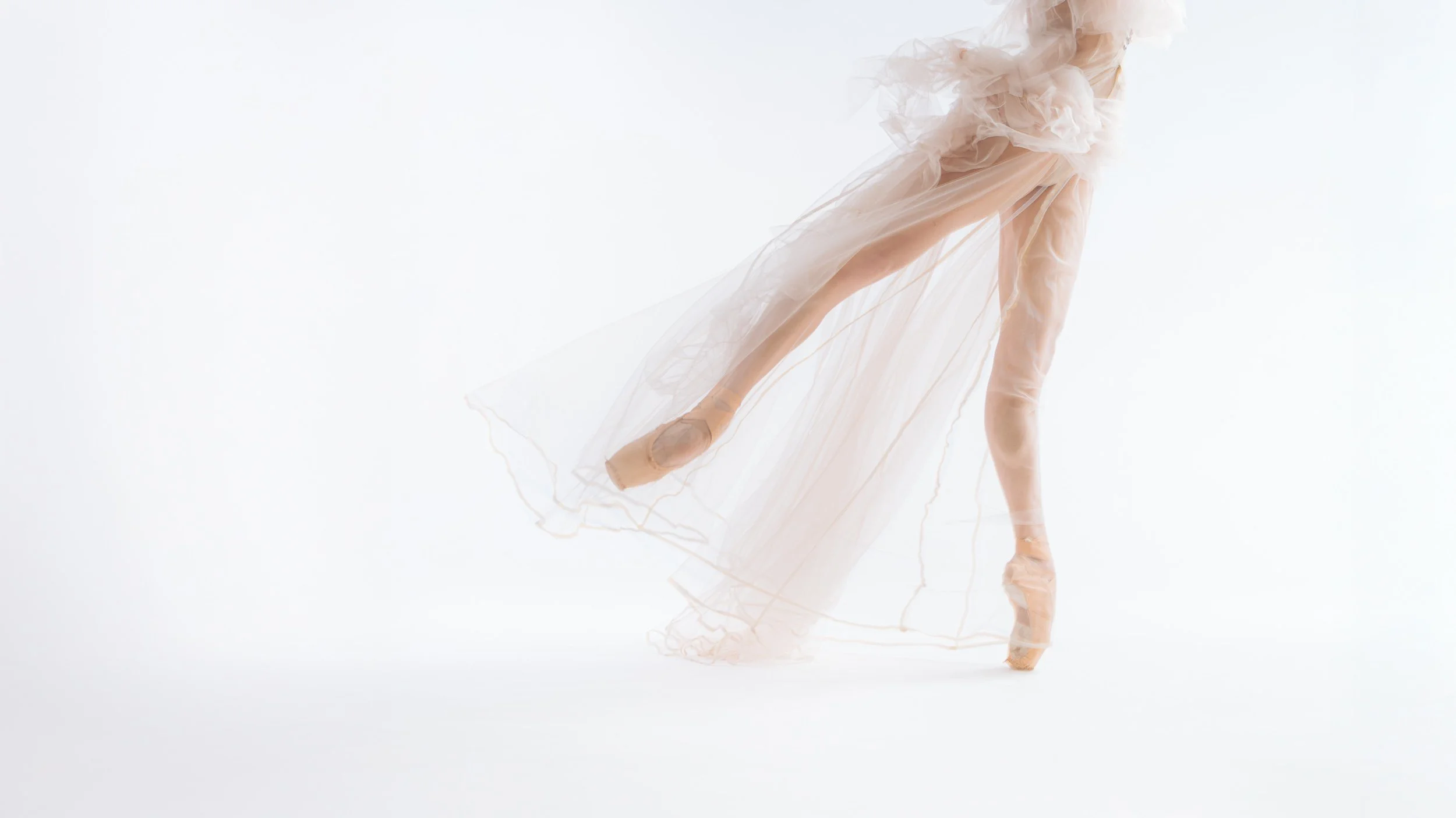 CND_0688 1-Editar_SQ.jpg