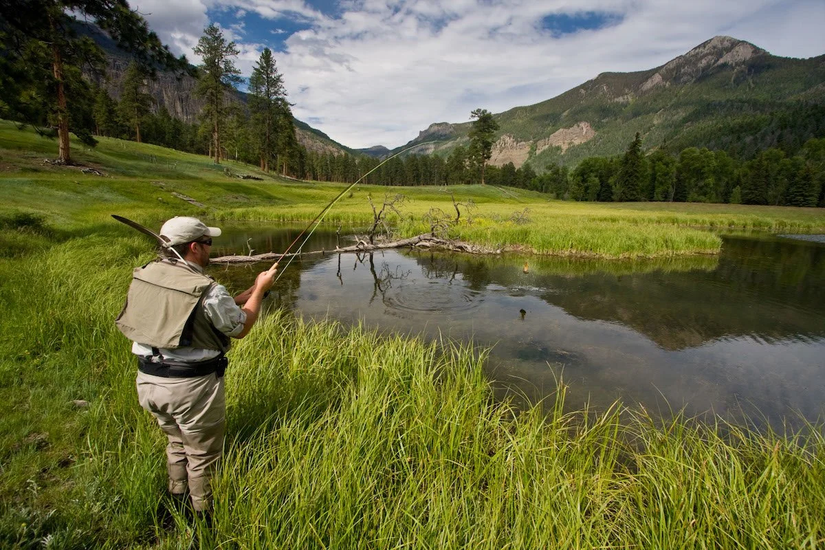 Photo Gallery - 14 of 84.jpg