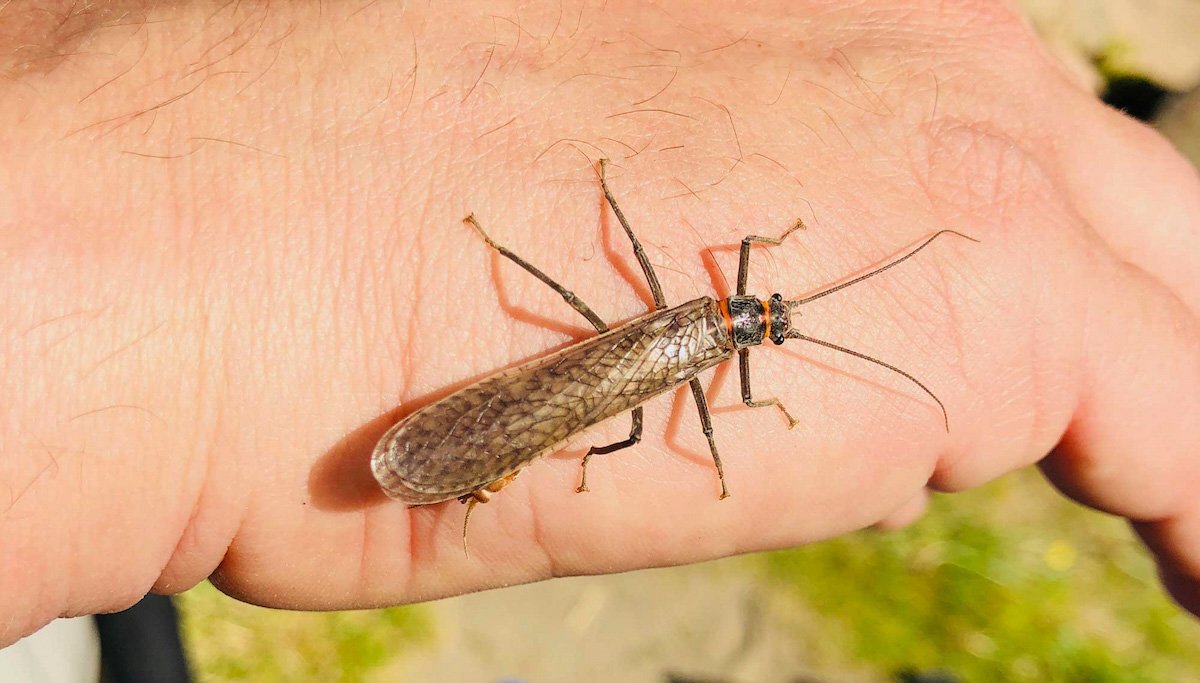 Photo Gallery - 1 of 84.jpg