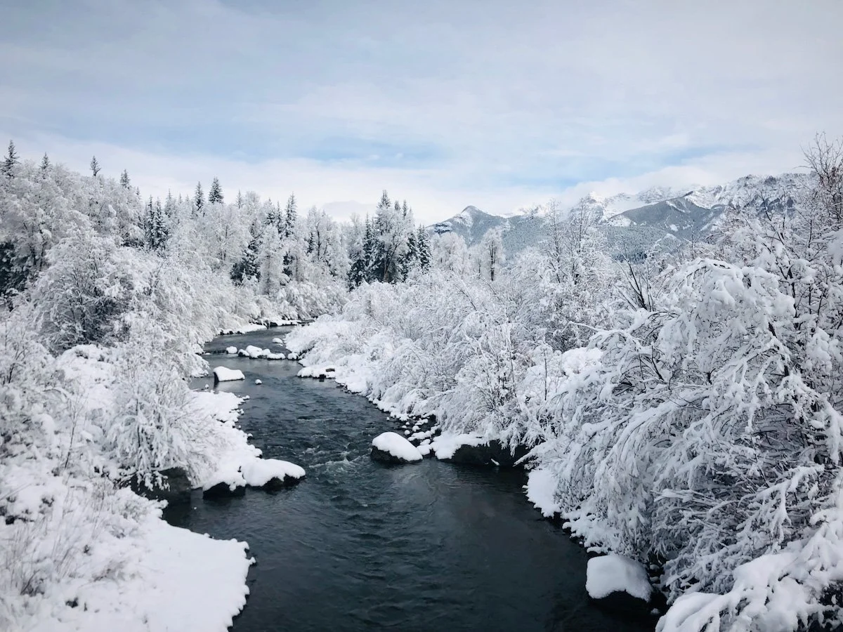 Photo Gallery - 65 of 84.jpg