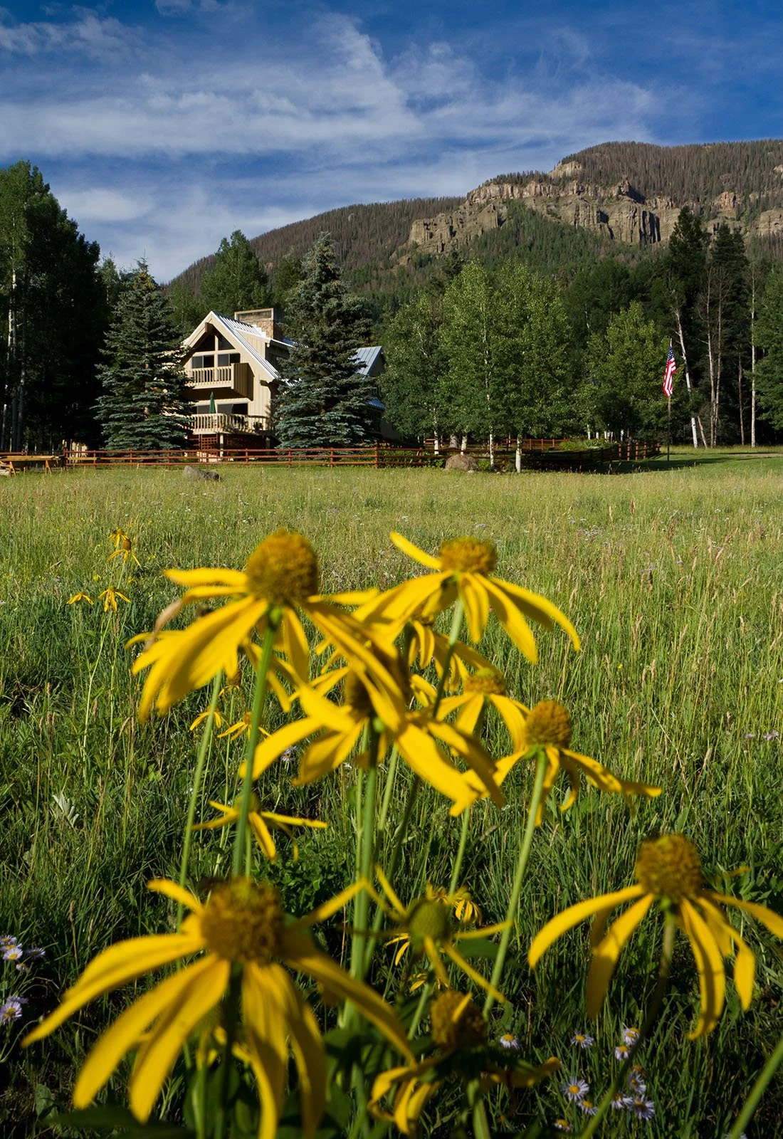 sunflowers and the lodge at Weminuche Valley Ranch