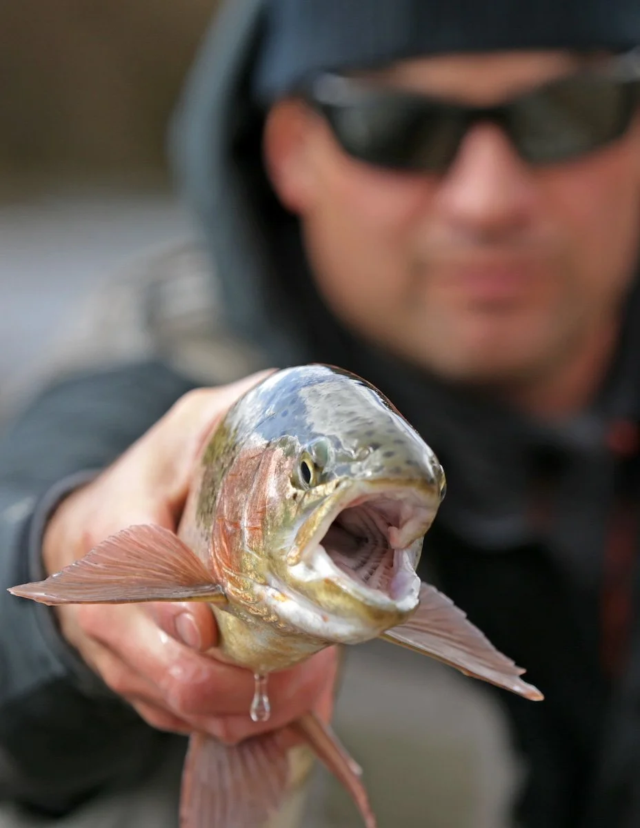 Photo Gallery - 27 of 84.jpg