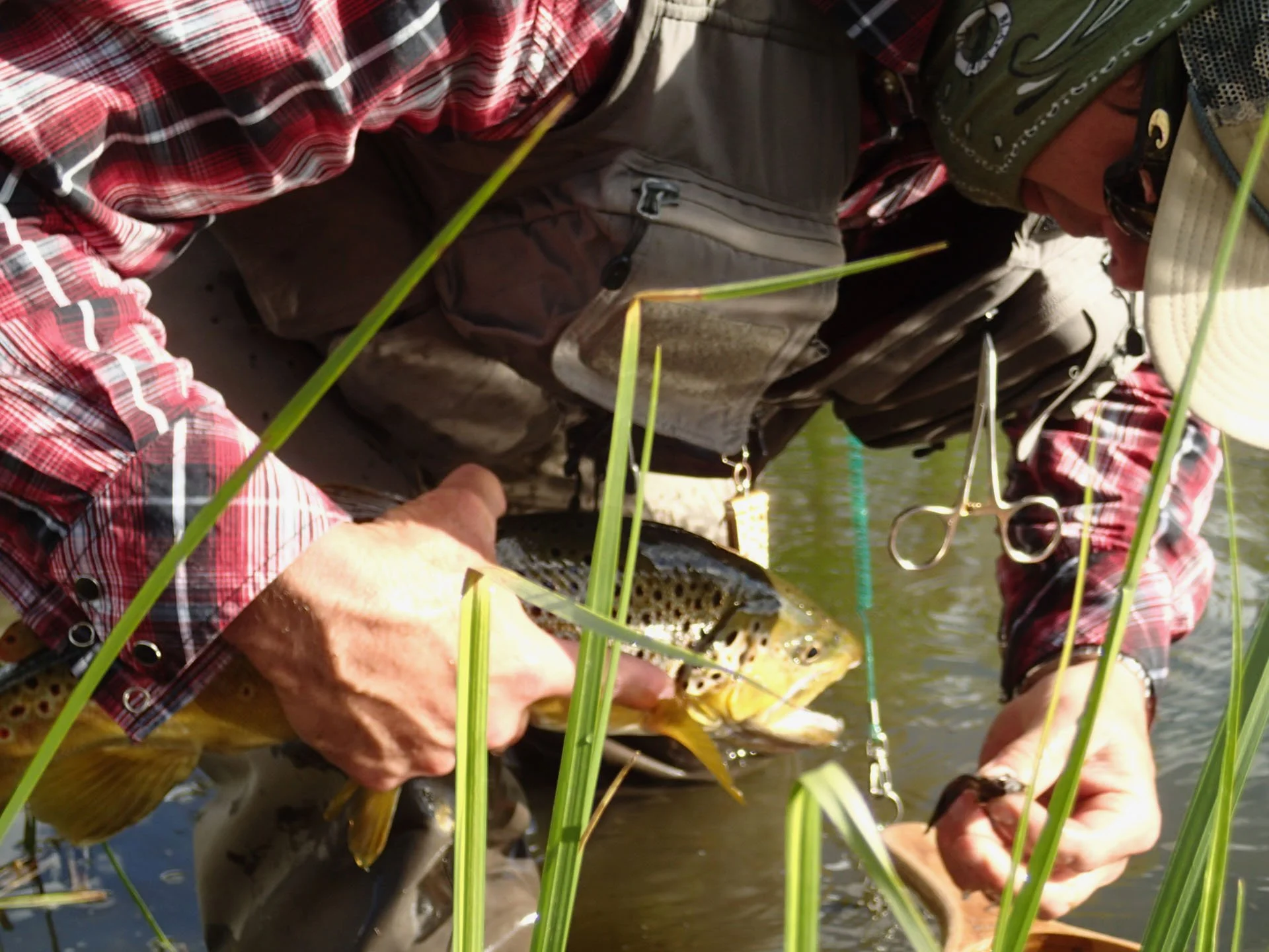 Fishing At Rainbow Lake
