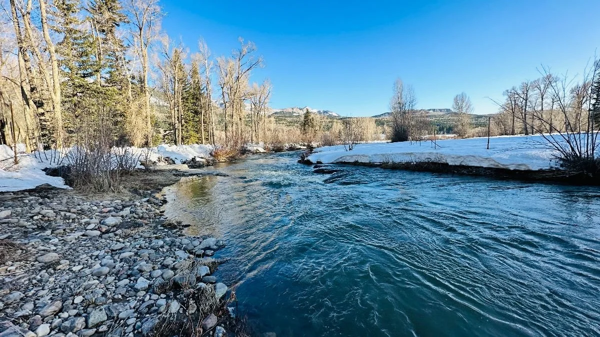 Spring 2023 Newsletter