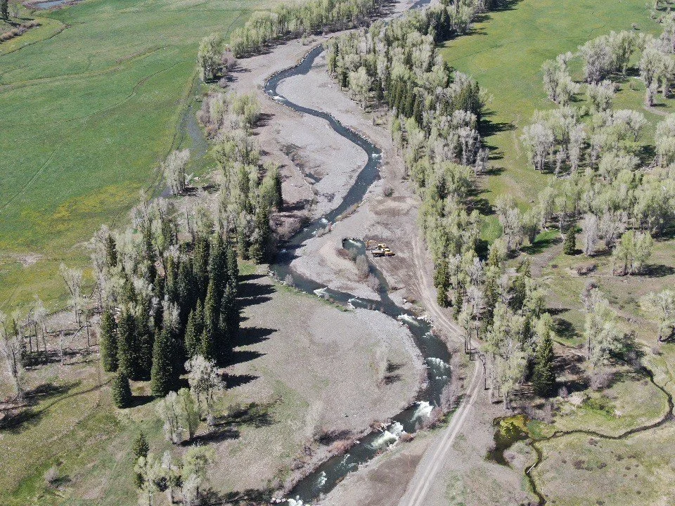 Spring 2021 Newsletter