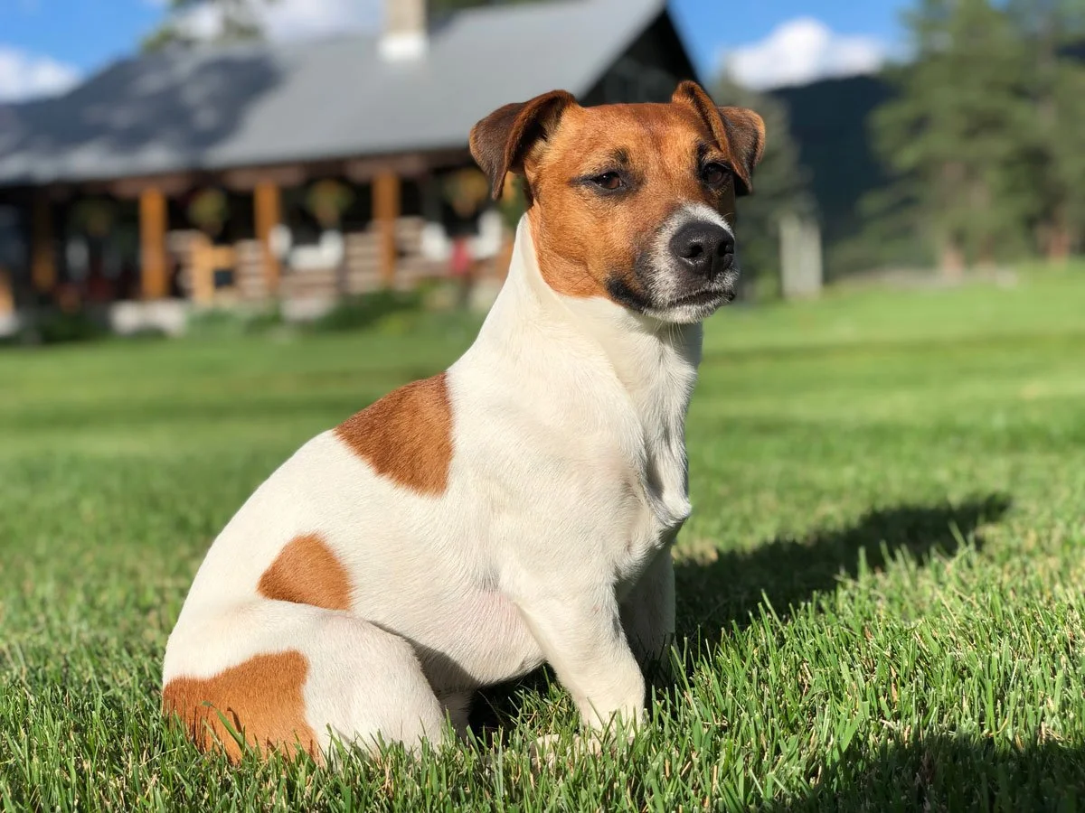 Year end...bring on 2019!