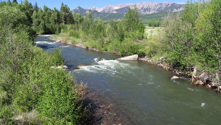 Summer Season 2016 &nbsp;