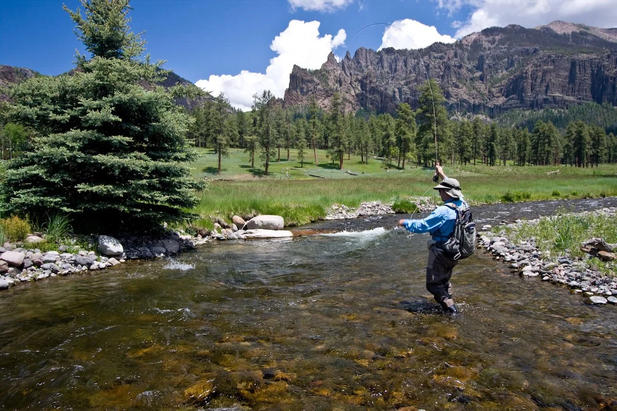 Photo Gallery - 15 of 84.jpg