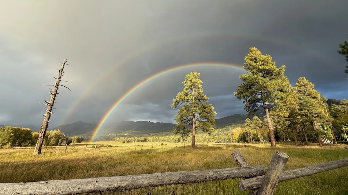 Photo Gallery - 83 of 84.jpg