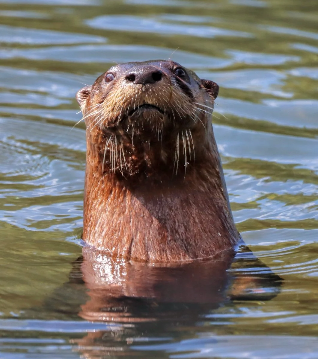 Photo Gallery - 75 of 84.jpg