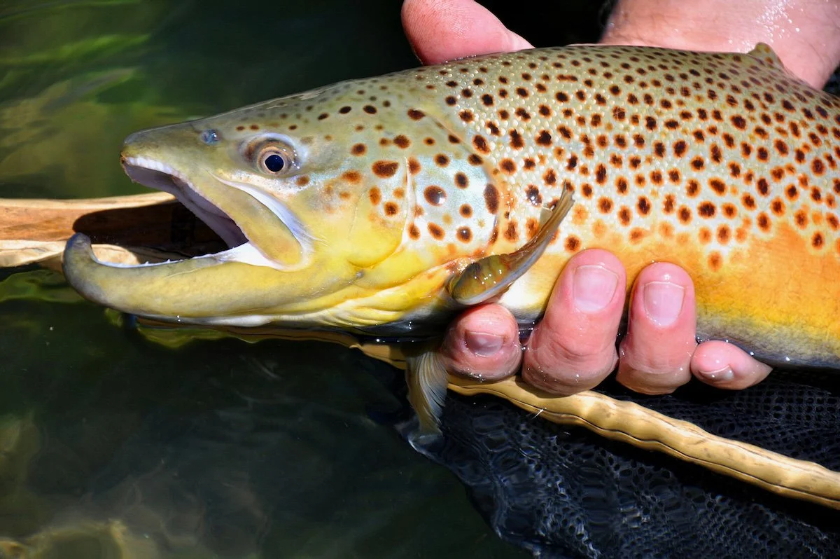 Photo Gallery - 16 of 84.jpg