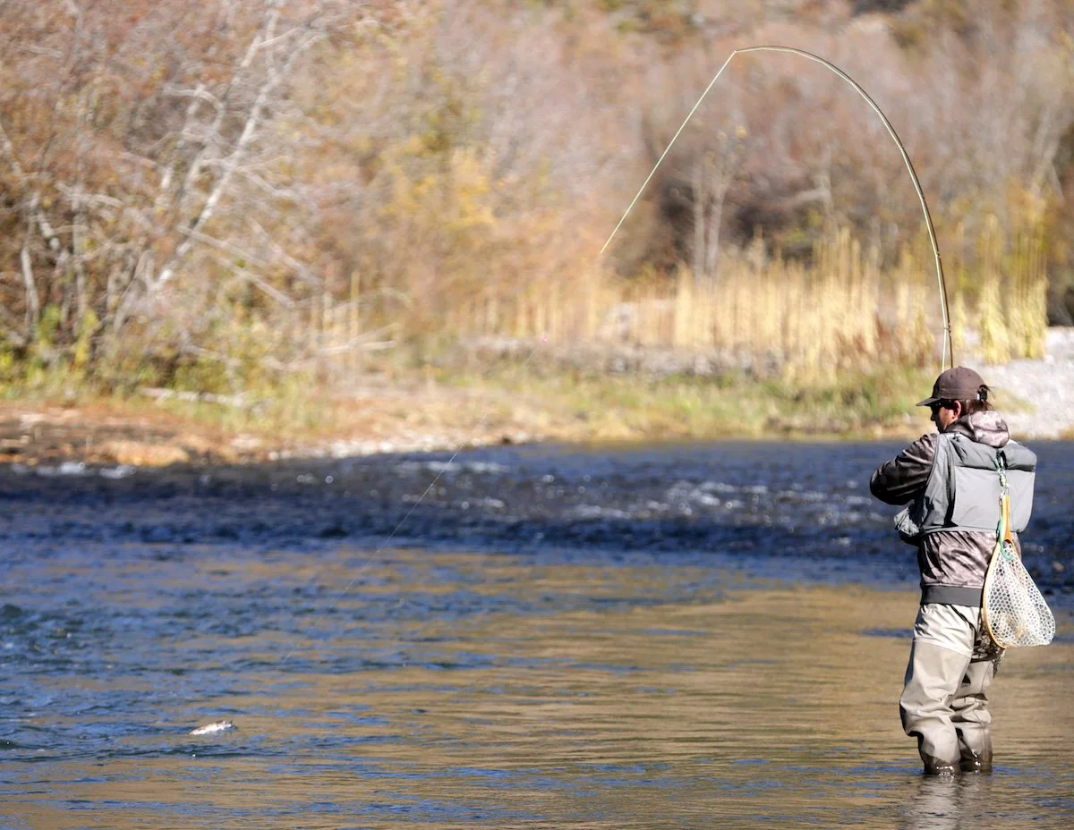 Photo Gallery - 28 of 84.jpg