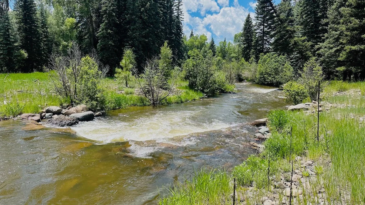 Photo Gallery - 78 of 84.jpg