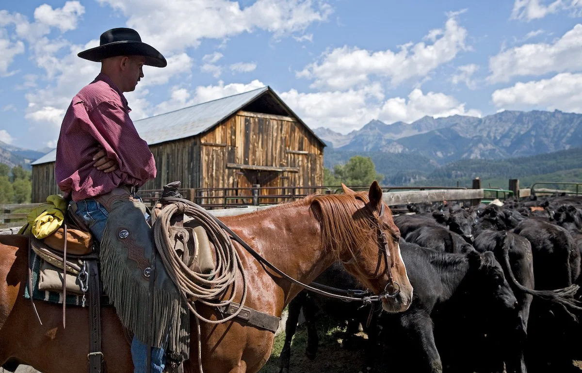 Photo Gallery - 12 of 84.jpg