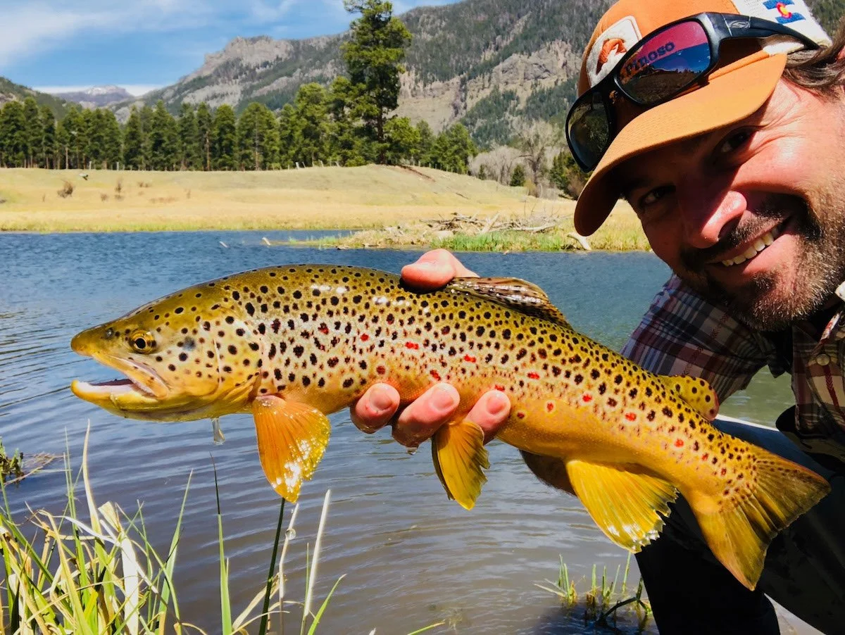 Photo Gallery - 61 of 84.jpg