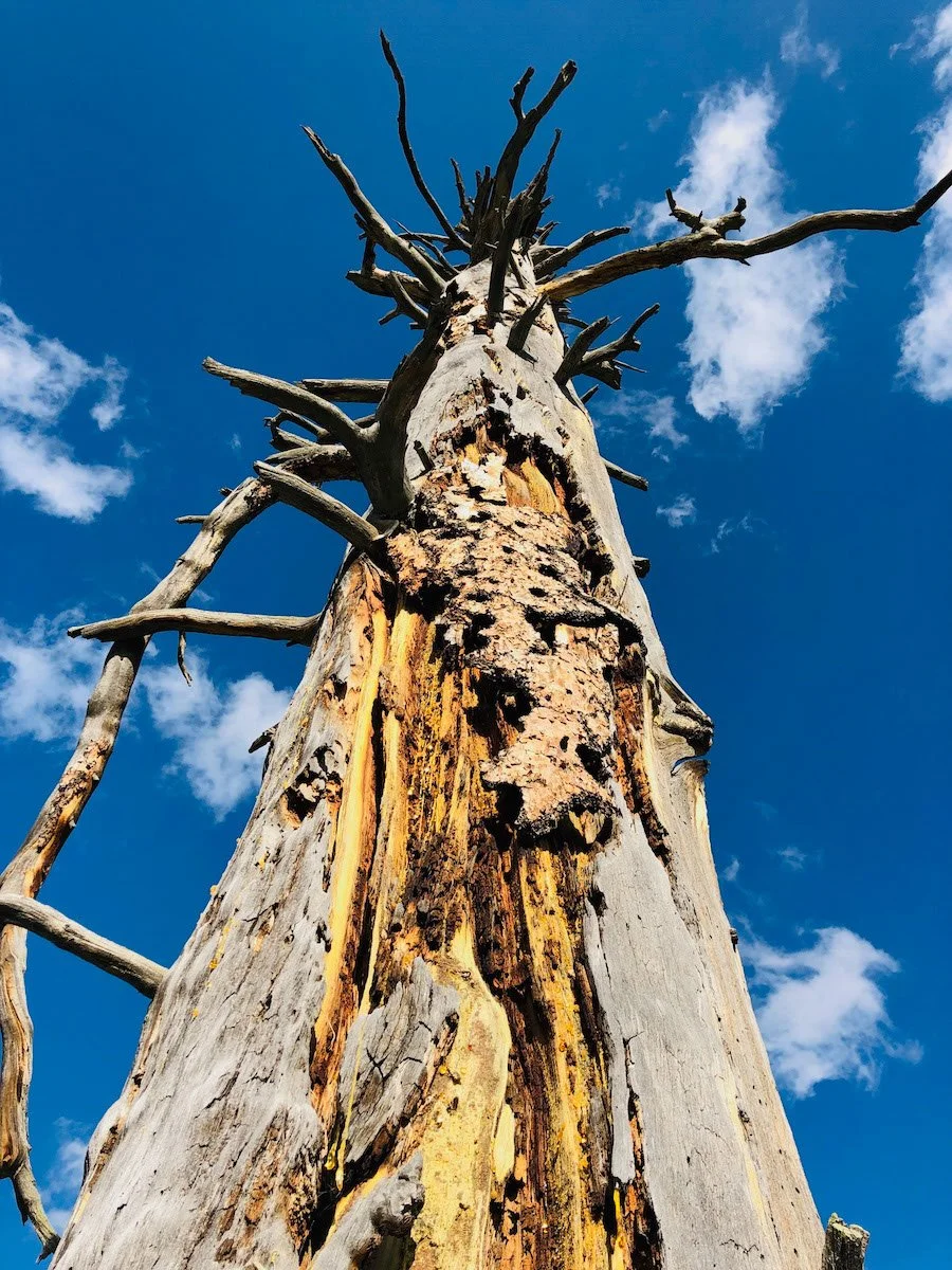 Photo Gallery - 67 of 84.jpg