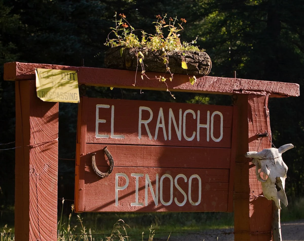 Photo Gallery - 10 of 84.jpg