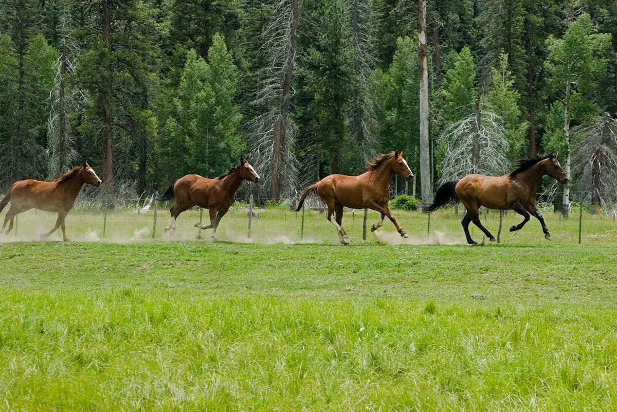 Photo Gallery - 4 of 84.jpg