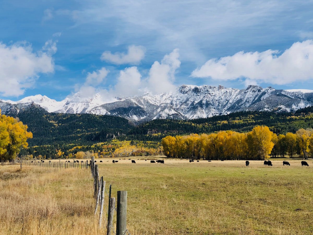 Photo Gallery - 64 of 84.jpg