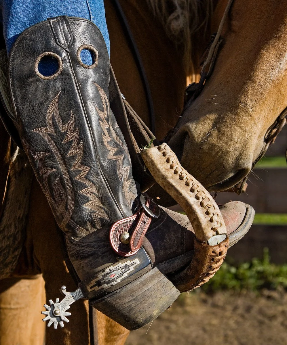 Photo Gallery - 7 of 84.jpg