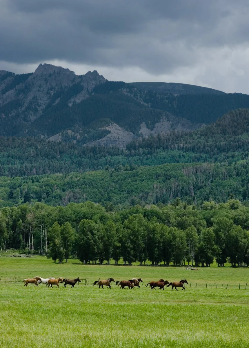 Photo Gallery - 3 of 84.jpg