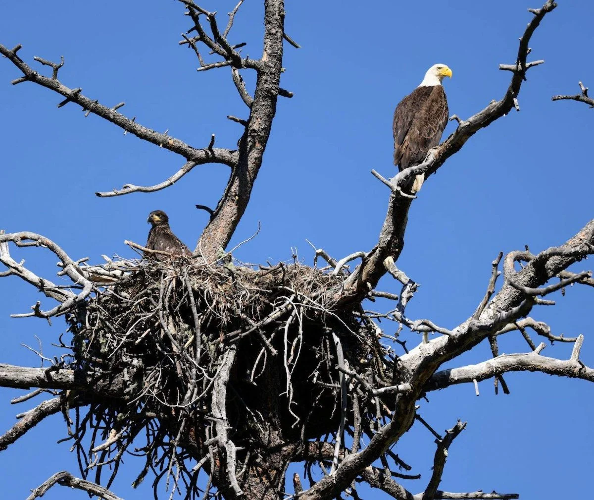 Photo Gallery - 77 of 84.jpg