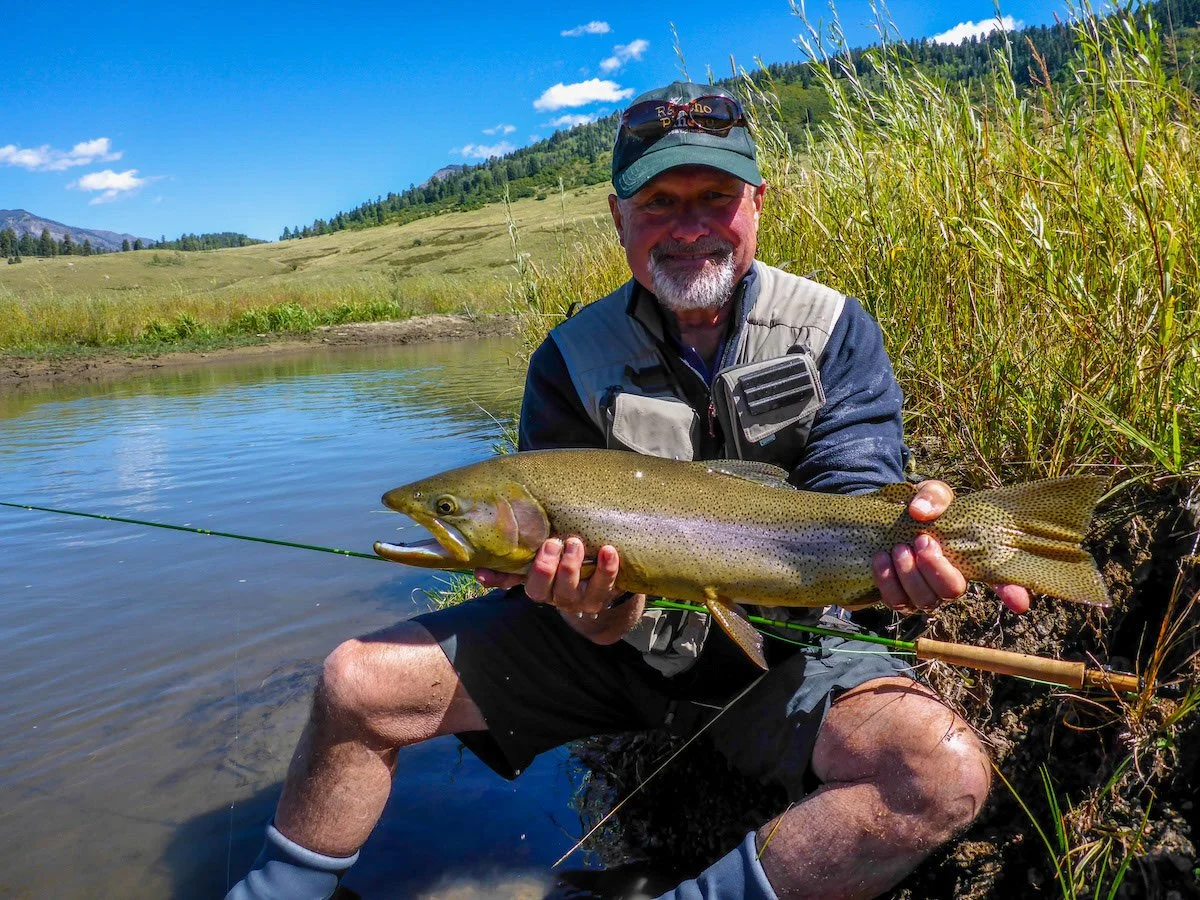 Photo Gallery - 55 of 84.jpg