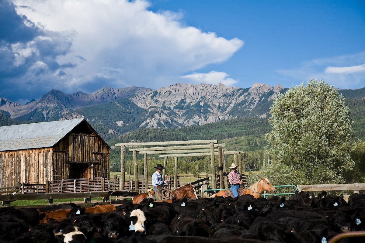 Photo Gallery - 6 of 84.jpg