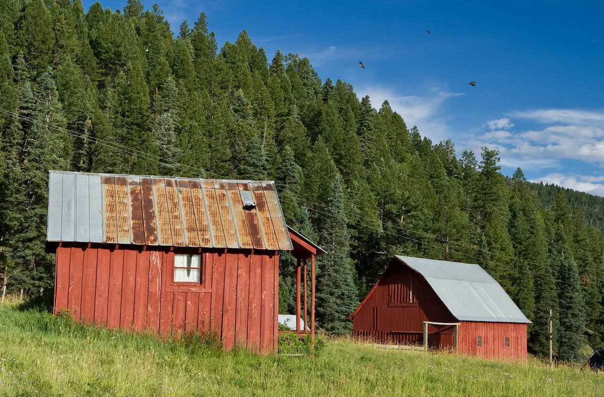 Photo Gallery - 17 of 84.jpg