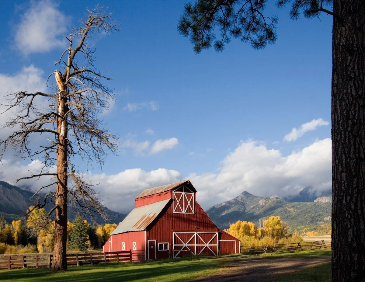 Photo Gallery - 2 of 84.jpg