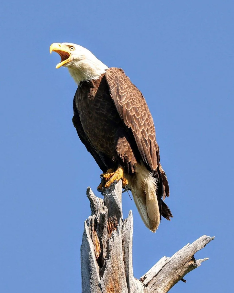 Photo Gallery - 76 of 84.jpg