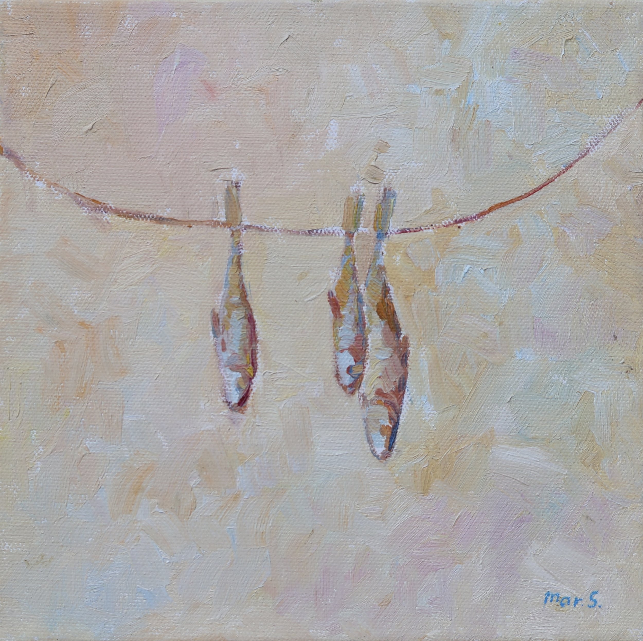 Dried Sardines 8x8 in