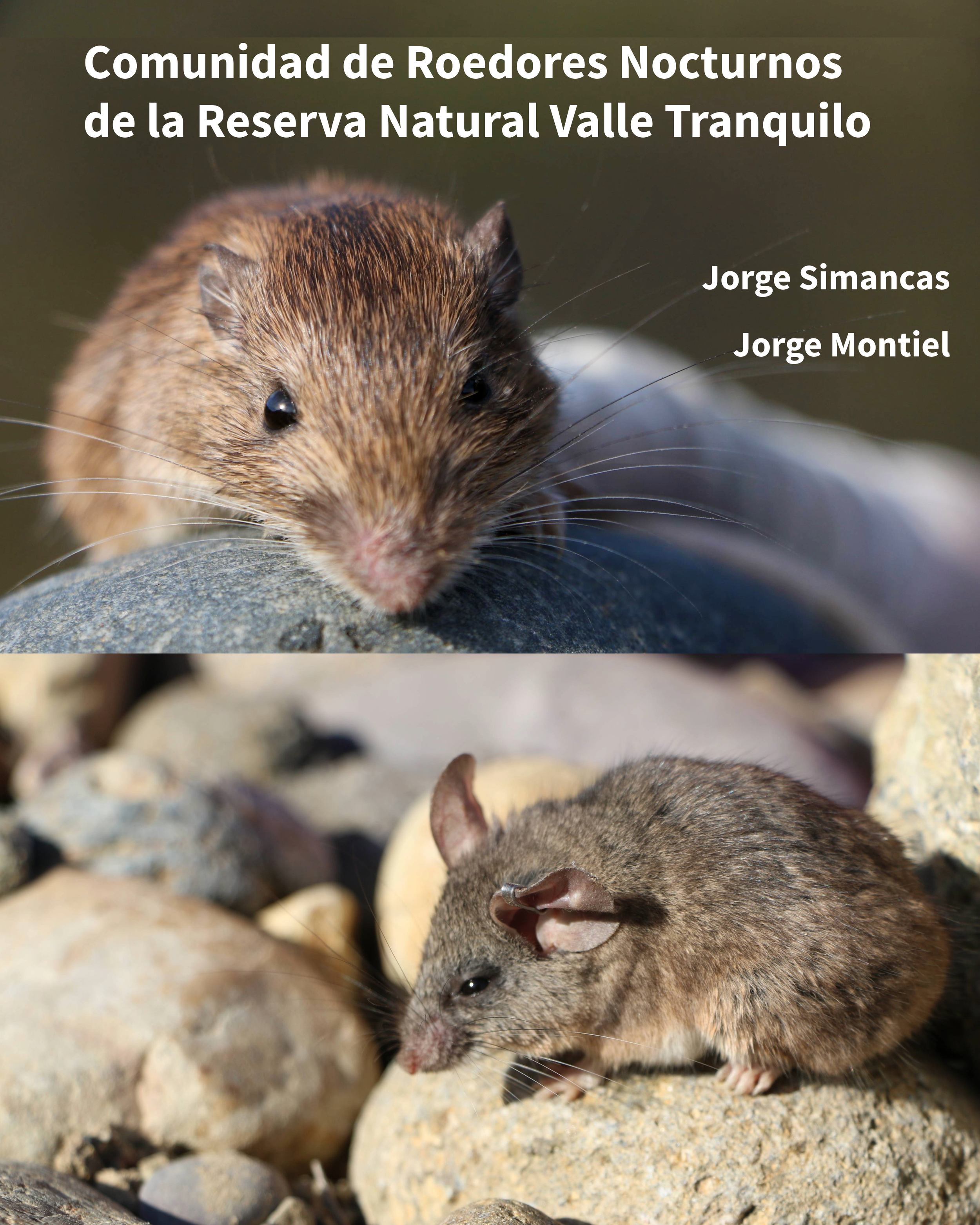 PEQUEÑOS MAMIFEROS DE VALLE TRANQUILO.png