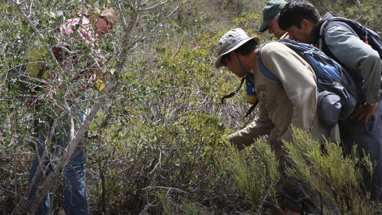 Guias naturalistas / Naturalist tour guides
