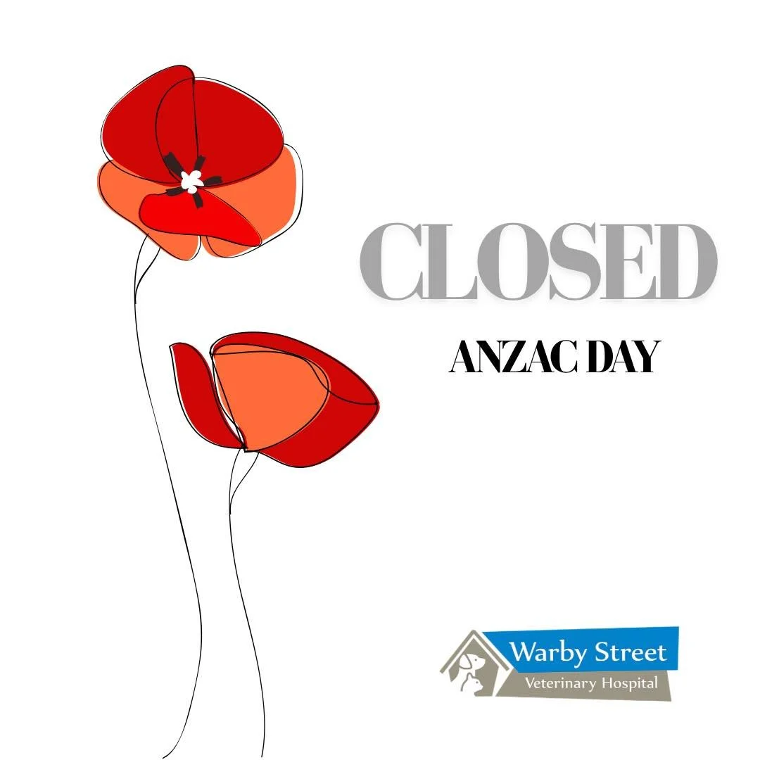 Warby Street Veterinary Hospital is CLOSED tomorrow, Saturday 25th of April for ANZAC Day. 

Our veterinarian is on call 24/7 during our closed periods. 
For any emergencies please phone Vetchat on 0364075824. 

#warbystreetvet #wangaratta #warbystre