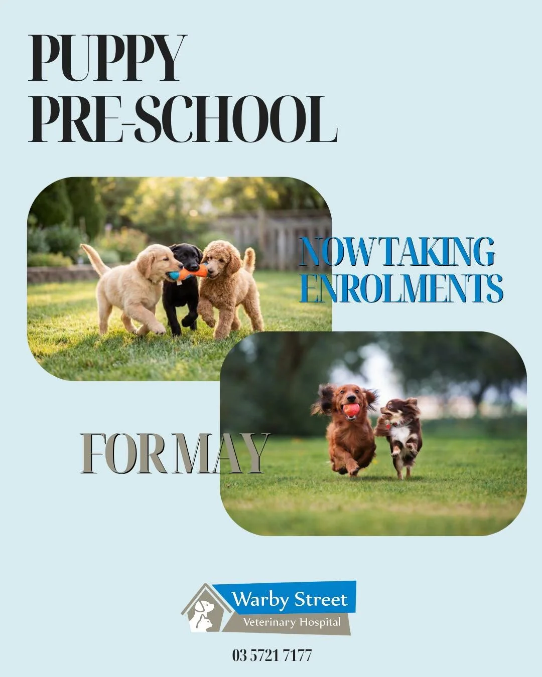 🎓 Puppy School Enrolments Now Open for May!

We are now taking bookings for our May puppy pre-school course.

When: Wednesday nights
Time: 5:30&ndash;6:30pm
Duration: 5-week course

Give your pup the best start with training, socialisation, and expe