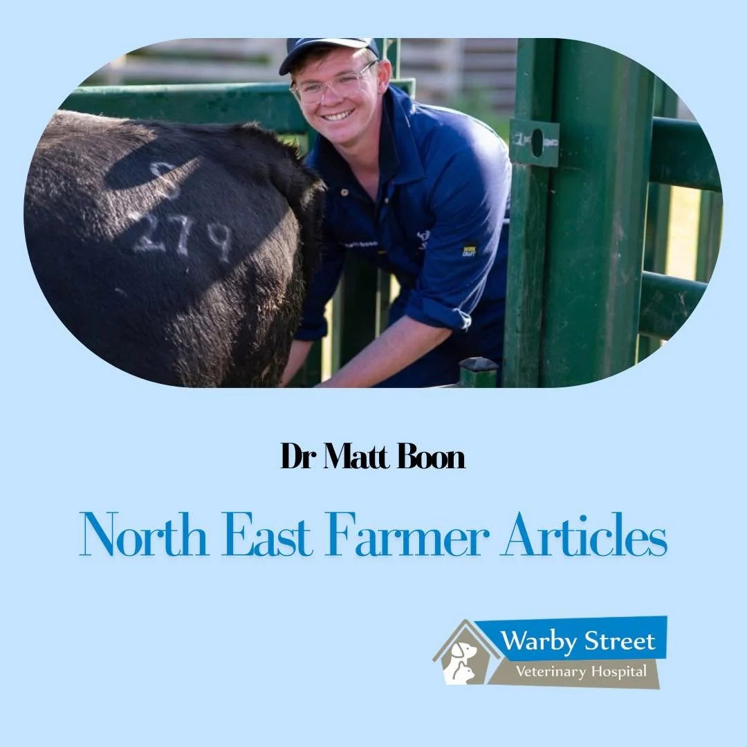 Do you receive the North East Farmer news? 🗞️ 

Our wonderful vet, Dr Matt Boon has valuable information in his monthly articles. 

Check it out! 
Link in bio. 

#warbystreetvet #wangaratta #warbystreetveterinaryhospital #vetclinic #northeastfarmer