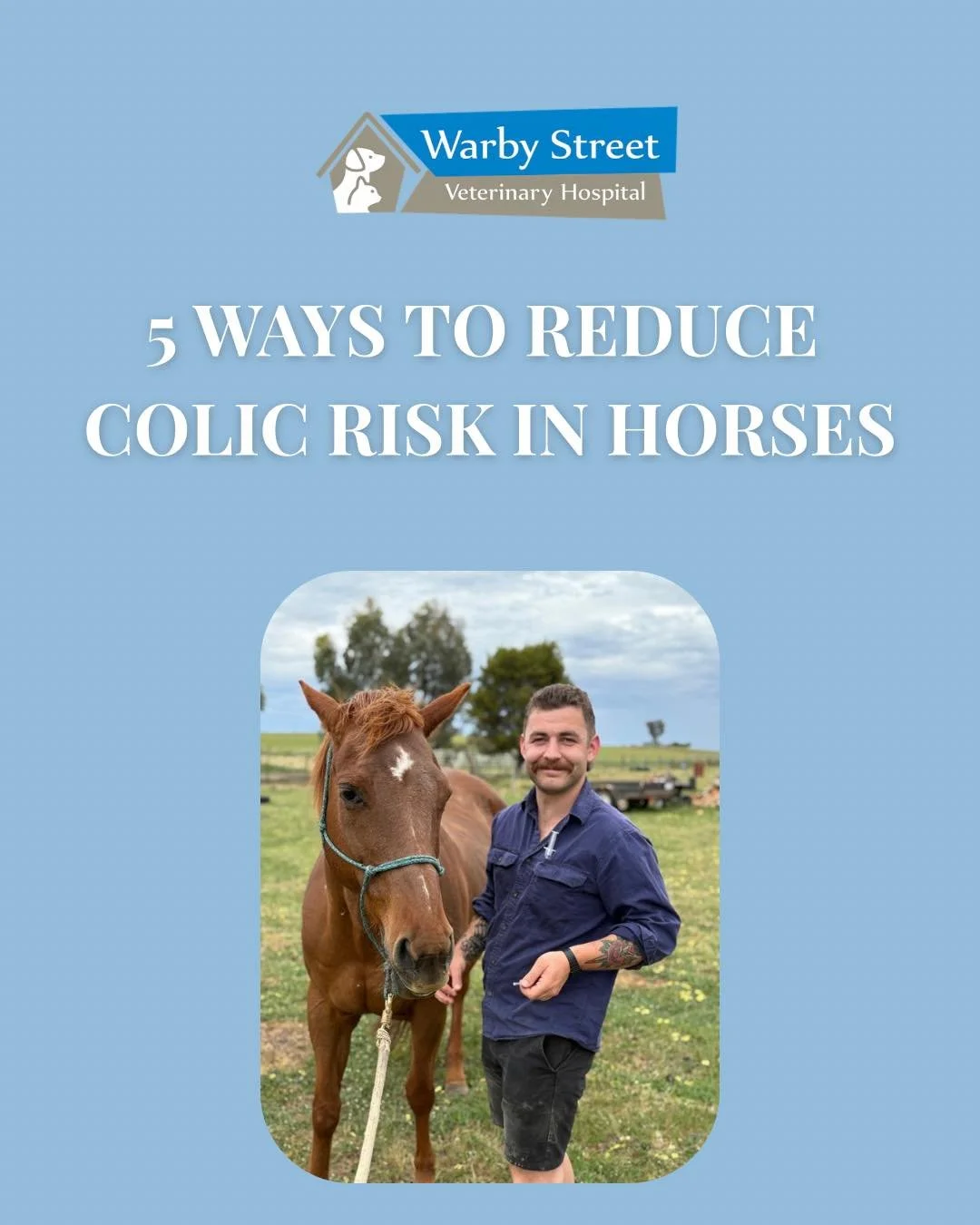 A gentle reminder that colic in horses should always be taken seriously. Early recognition and prompt veterinary attention can make a huge difference in outcomes.

If your horse is showing signs of discomfort or unusual behaviour, don&rsquo;t wait to