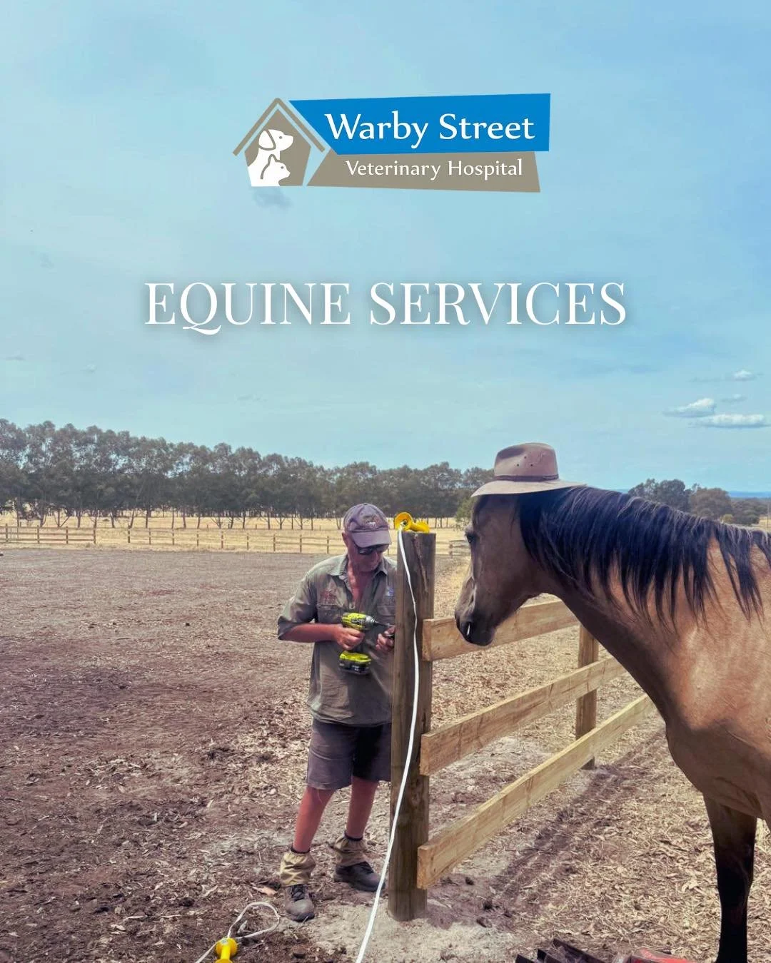🐴 Whether your horse requires routine preventative care, reproductive management, performance support, or advanced surgical treatment, we are equipped to deliver professional, compassionate, and reliable equine veterinary services tailored to your n