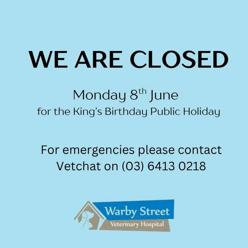 Warby Street Veterinary Hospital is CLOSED tomorrow, Monday 8th of June for the King's Birthday.

Our veterinarian is on call 24/7 during our closed periods. For any emergencies please phone Vetchat on (03) 6407 5824.

#warbystreetvet #wangaratta 
#w
