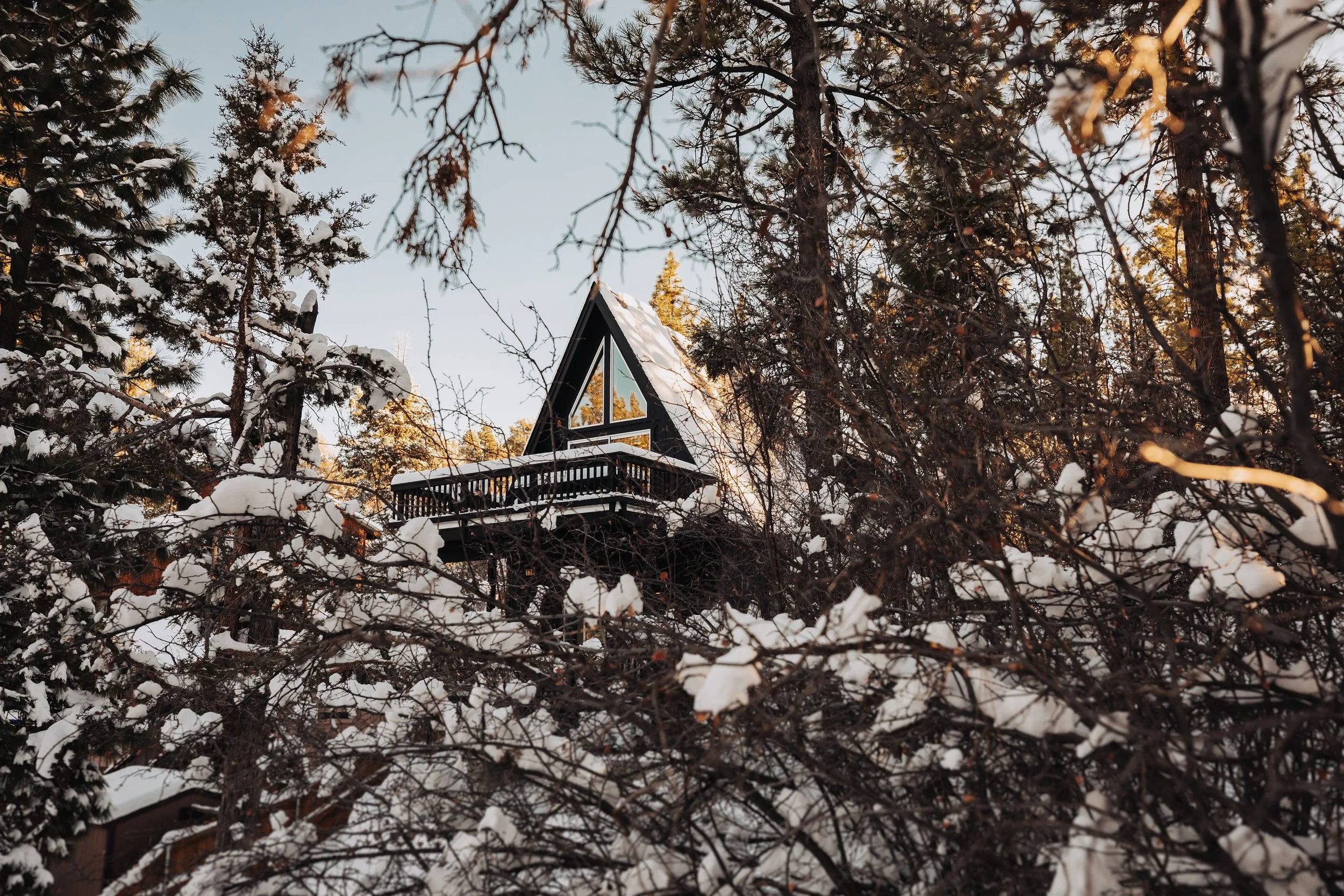 Little Black Cabin