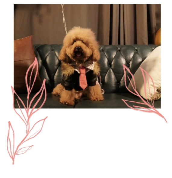 Screenshot 2026-04-08 at 12.21.49 AM.png